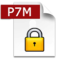P7M 120